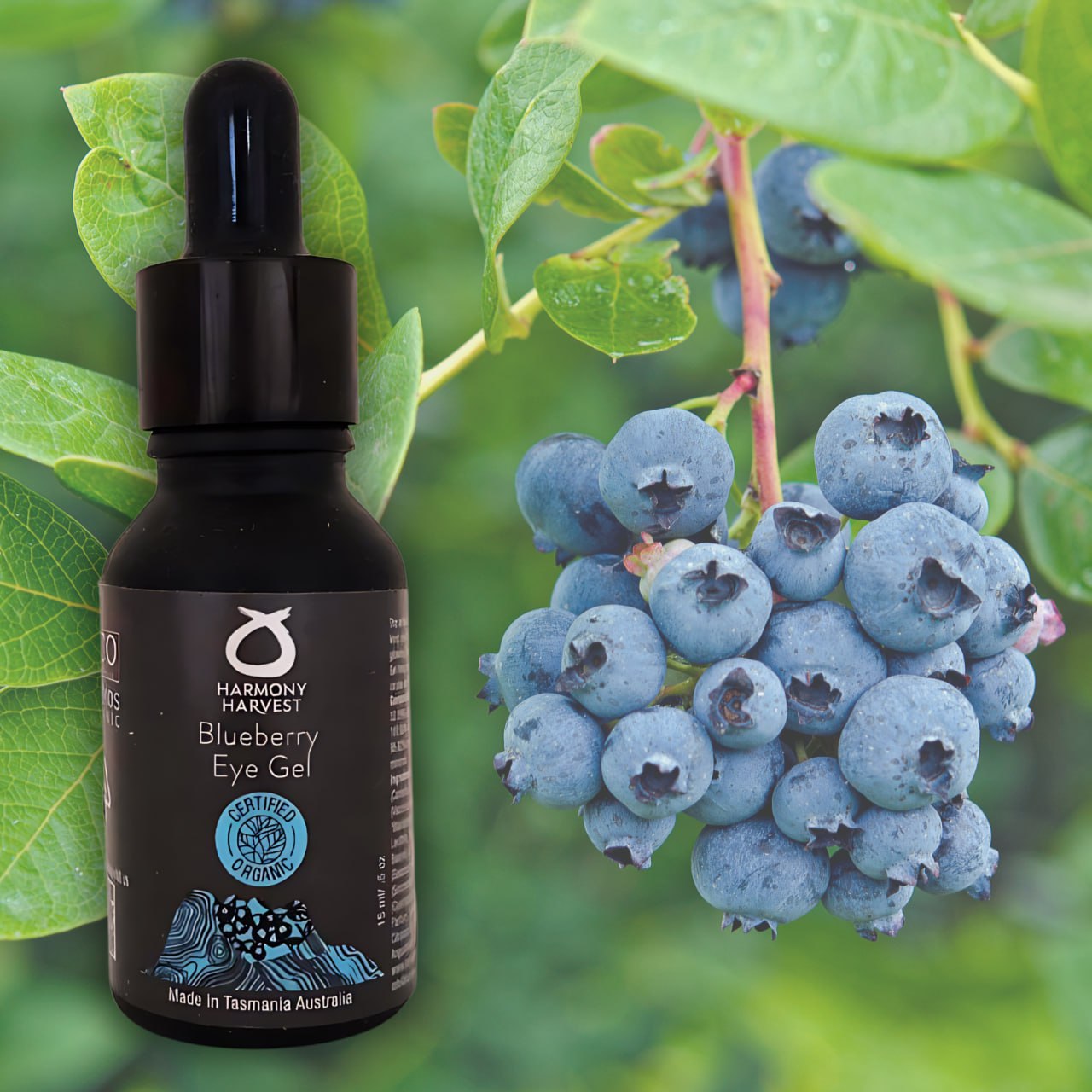 Blueberry Eye Gel