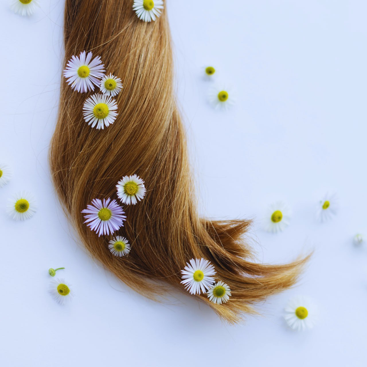 Shampoo and Conditioner Chamomile