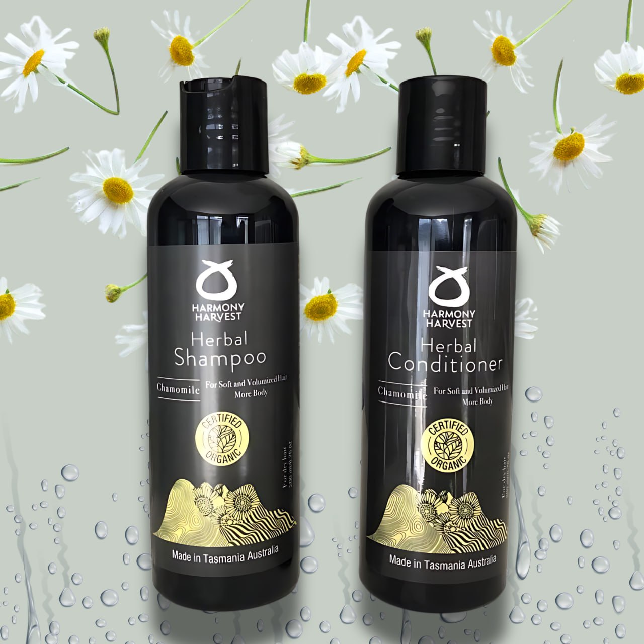 Shampoo and Conditioner Chamomile