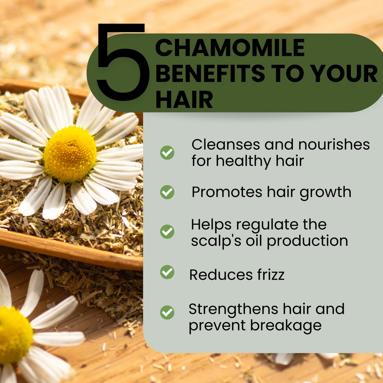 Shampoo and Conditioner Chamomile