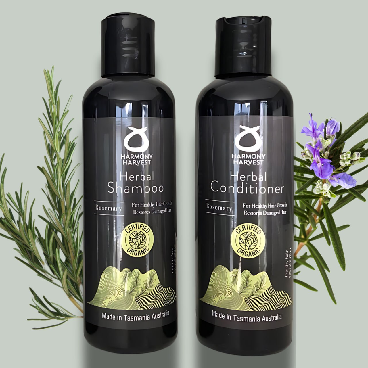 Shampoo and Conditioner Rosemary