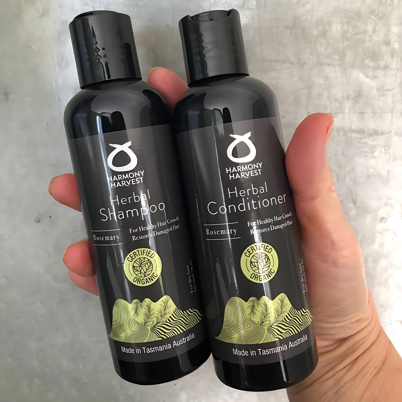 Shampoo and Conditioner Rosemary